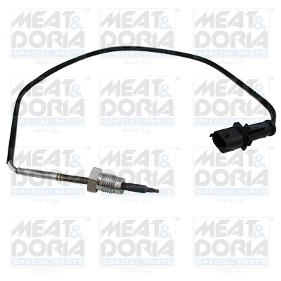 Sensor, exhaust gas temperature